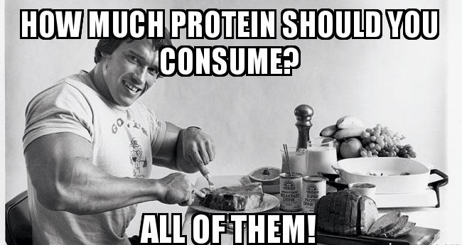 hur mycket protein arnold