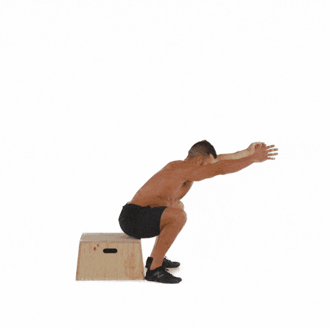 box squat gif box squat teknik tps