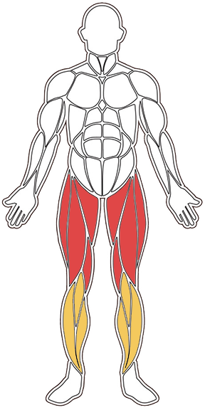 pistol squat teknik tips