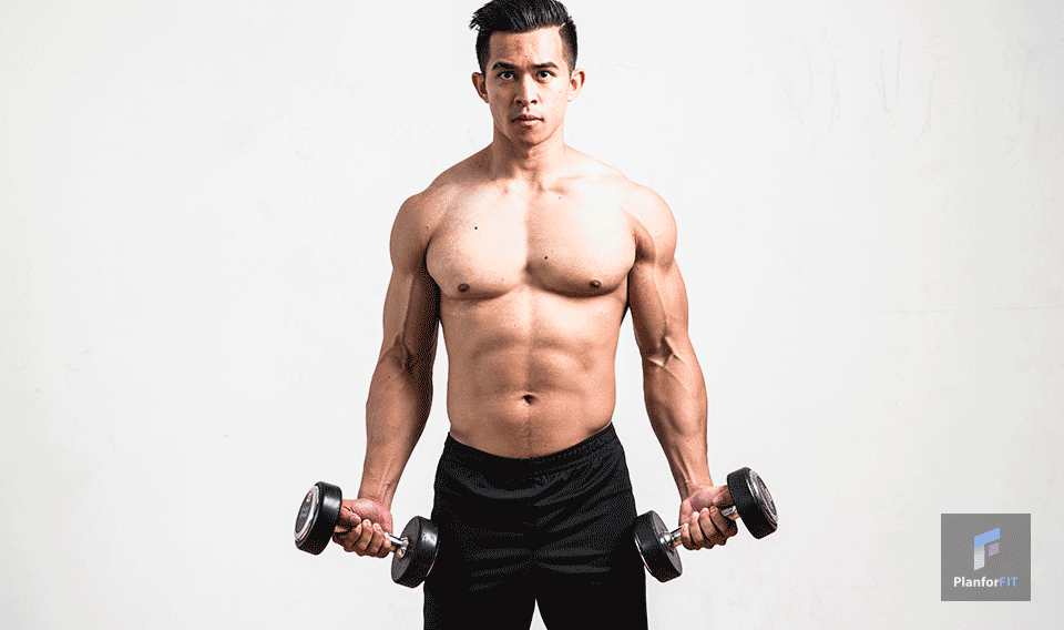 zottman curls teknik tips