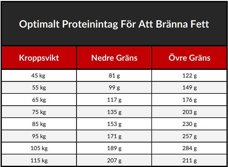 proteinintag bränna fett