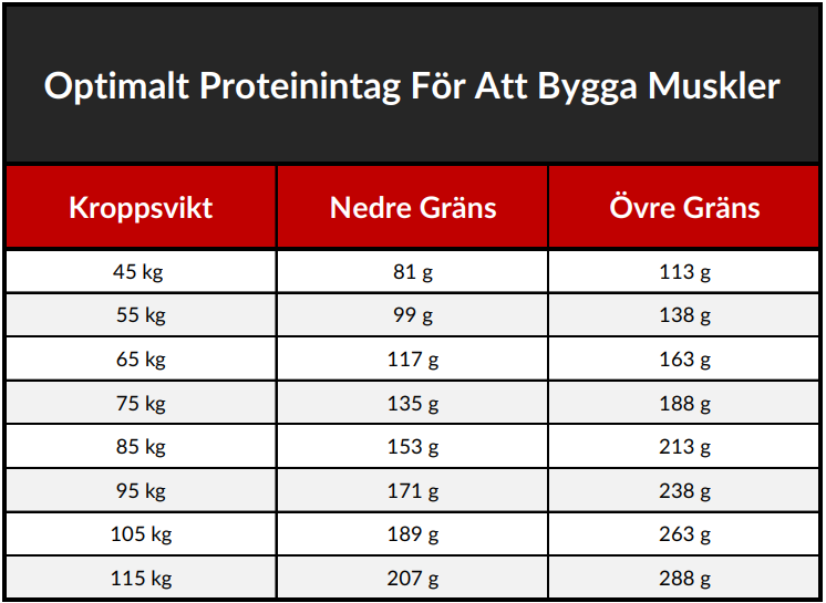 proteinintag bygga muskler
